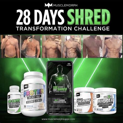 How Magic Shred Denton Can Help You Shed Fat